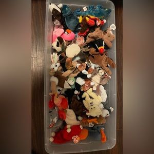 43 Beanie Babies. All have tag errors. Mint condition